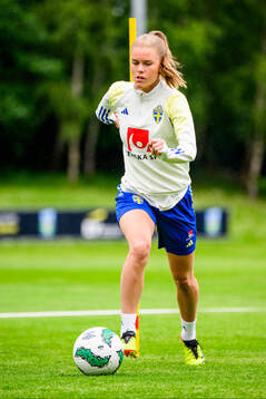 My Cato of Sweden at a training session