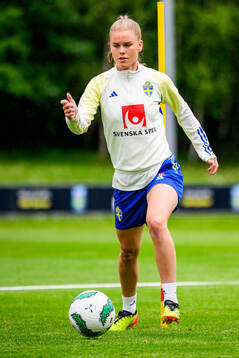 My Cato of Sweden at a training session