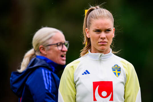 My Cato of Sweden at a training session