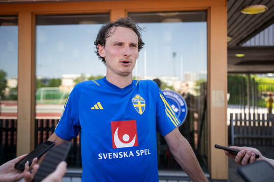 Hjalmar Ekdal of the Swedish men's national football team