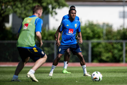 Niclas Eliasson of the Swedish men's national football team