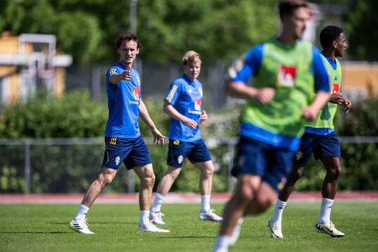 Hjalmar Ekdal of the Swedish men's national football team