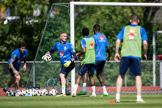 Goalkeeper of the Swedish men's national football team