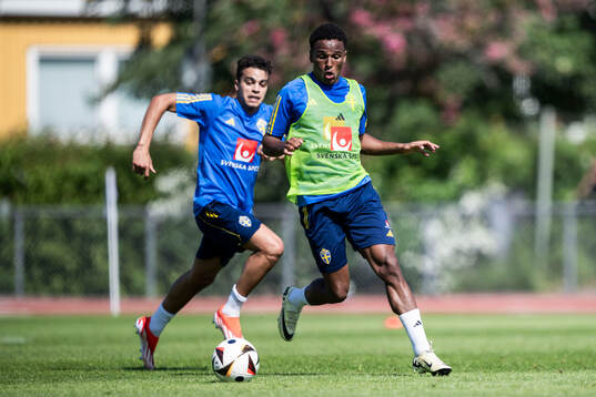Niclas Eliasson of the Swedish men's national football team
