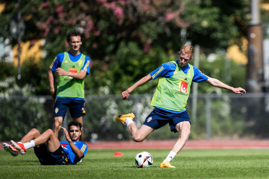 Hugo Larsson of the Swedish men's national football team