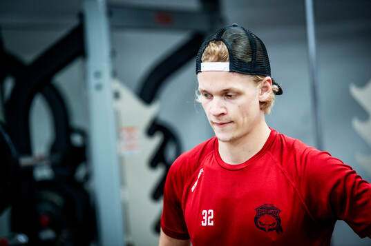 Joona Ikonen