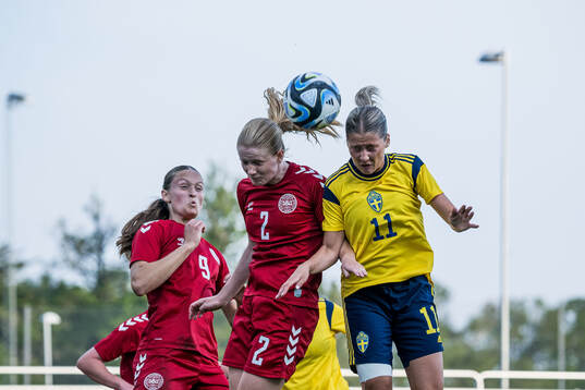 Carli Scheuer of Denmark and Novalie Jensen of Sweden