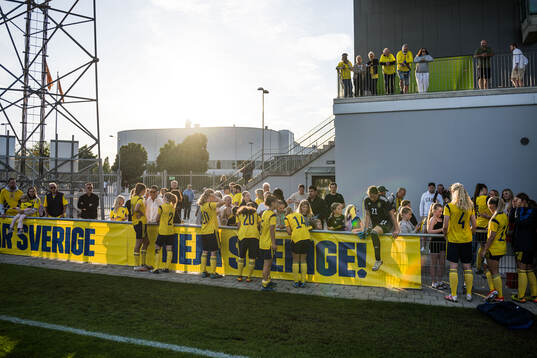 Players of Sweden
