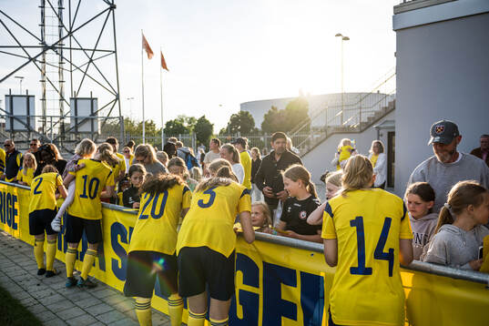 Players of Sweden