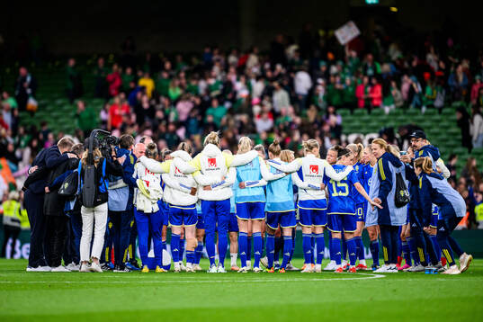 Players of Sweden gather