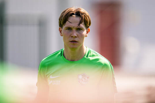 Högaborgs Albin Branting