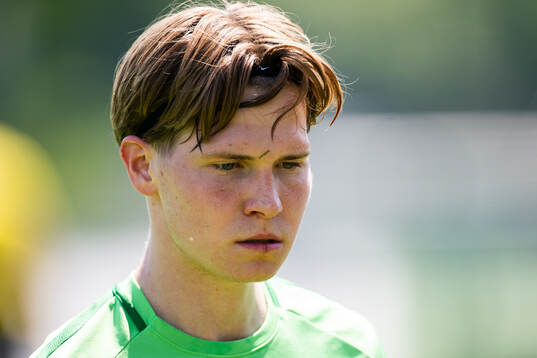 Högaborgs Albin Branting