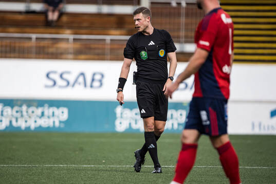 Domare Erik Mattsson