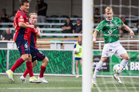 Brages Henry Sletsjøe
