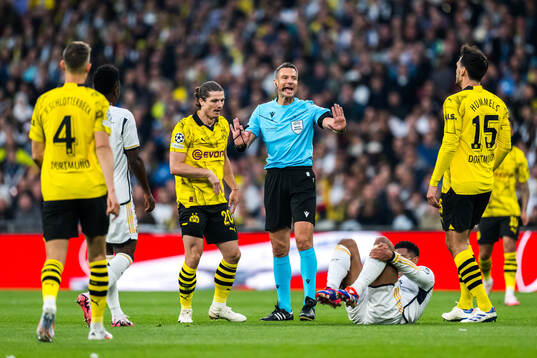 Referee Slavko Vinčić uring the UEFA Champions League