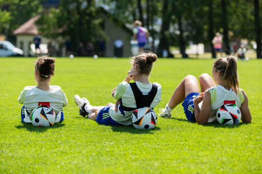 Players of Sweden