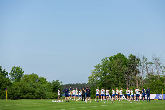 Players of Sweden
