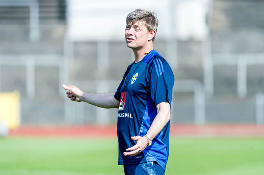 Head coach Jon Dahl Tomasson of Sweden of Sweden