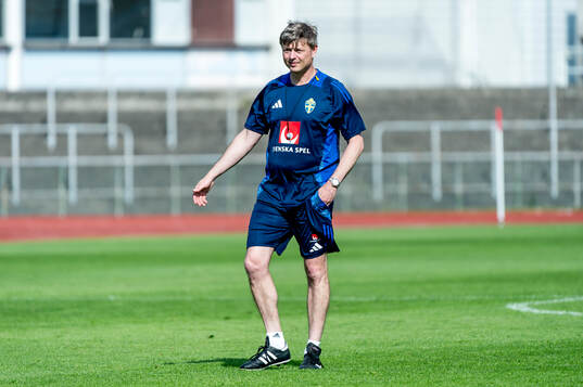 Head coach Jon Dahl Tomasson of Sweden