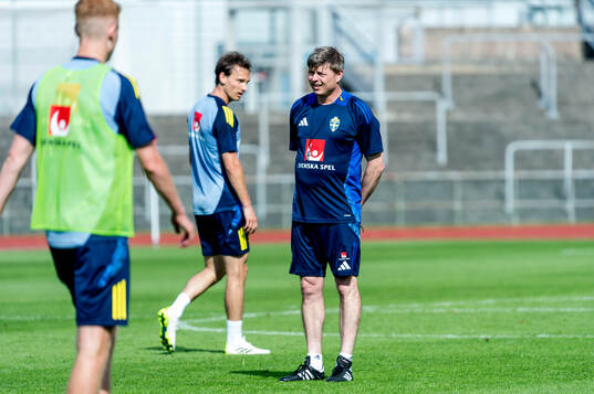 Head coach Jon Dahl Tomasson of Sweden