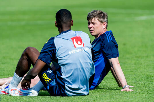 Head coach Jon Dahl Tomasson of Sweden