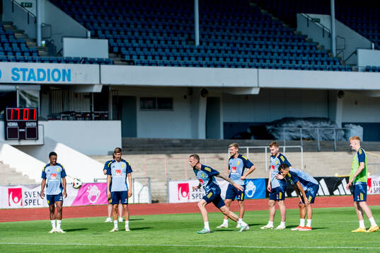 The players of Sweden