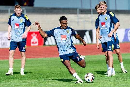 Niclas Eliasson of Sweden