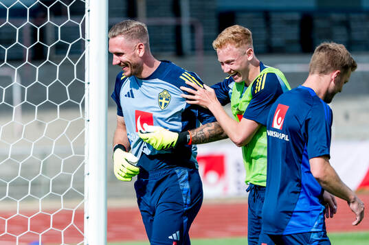 Goalkeeper Robin Olsen and Hugo Larsson of Sweden