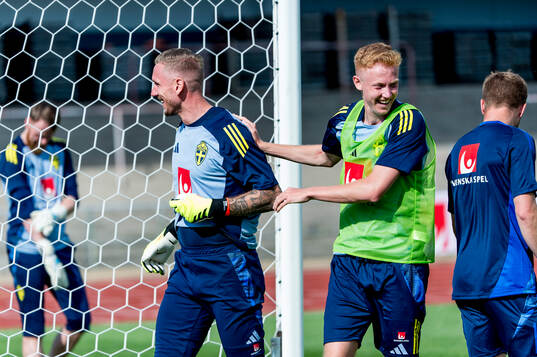 Goalkeeper Robin Olsen and Hugo Larsson of Sweden