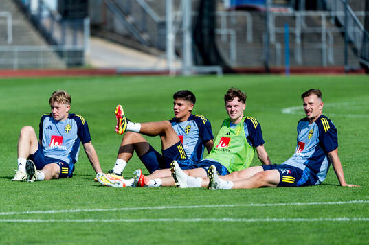 The players of Sweden
