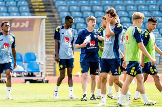 Head coach Jon Dahl Tomasson of Sweden