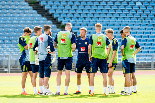 The players of Sweden