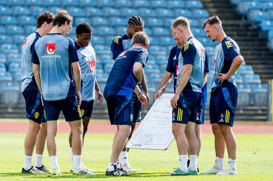 The players of Sweden