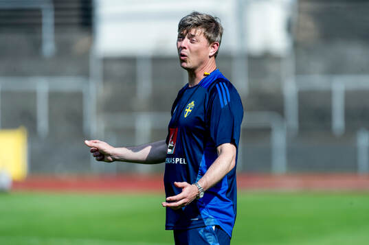 Head coach Jon Dahl Tomasson of Sweden