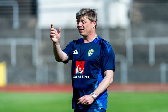 Head coach Jon Dahl Tomasson of Sweden