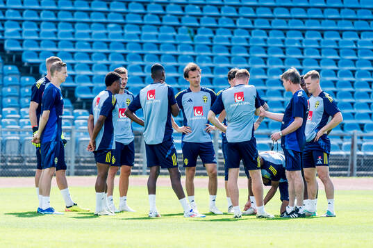 The players of Sweden