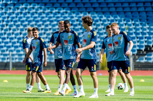 The players of Sweden