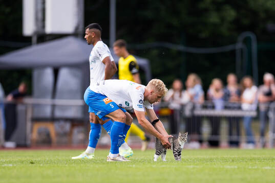 Bläddra bland fler bilder av Fotboll, Allsvenskan, Värnamo - Mjällby