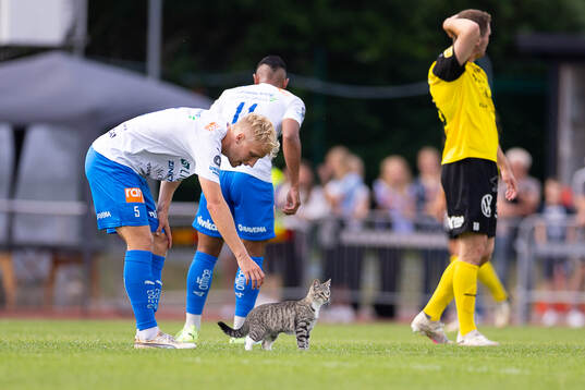Värnamos Victor Larsson och en katt på planen