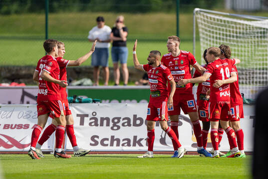 Skövde AIKs spelare jublar
