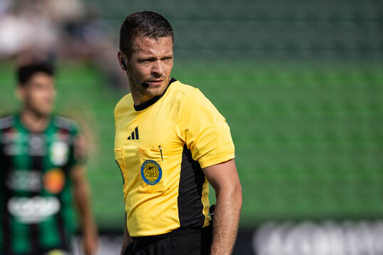 Domare Jovan Krsmanovic