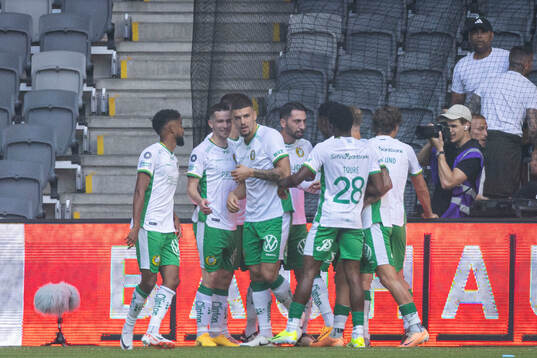 Hammarbys spelarna jublar