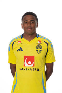 Niclas Eliasson of the Swedish national football team poses