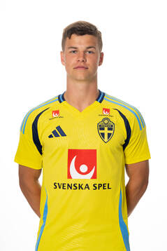 Samuel Dahl of the Swedish national football team poses for
