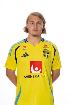 Sebastian Nanasi of the Swedish national football team