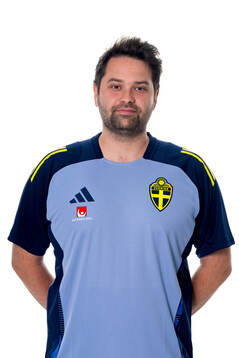 Johan Velagic, communicator of the Swedish national