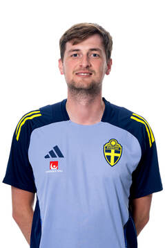 Liam Holt, analyst of the Swedish national football team,
