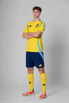 Williot Swedberg of the Swedish national football team