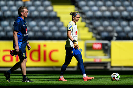 goalkeeper Jennifer Falk of the Swedish women's national