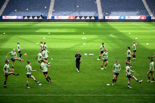 Players of Ireland at a training session